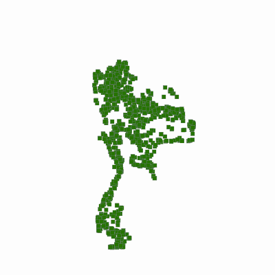 Export Image