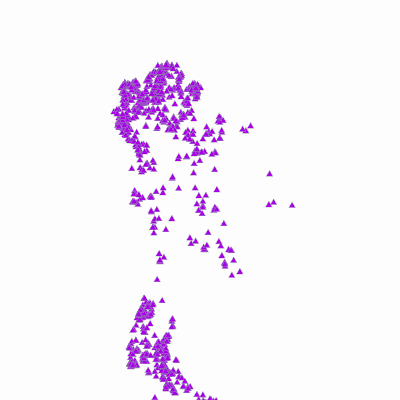 Export Image